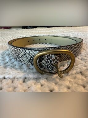 Snake-Print Belt with Antiqued Gold Buckle - White/Brown